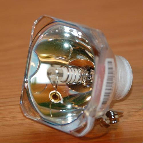 Projector Lamps - High Grade Metal Body, Tungsten Filament | Durable, Quality Assured, Customizable Options