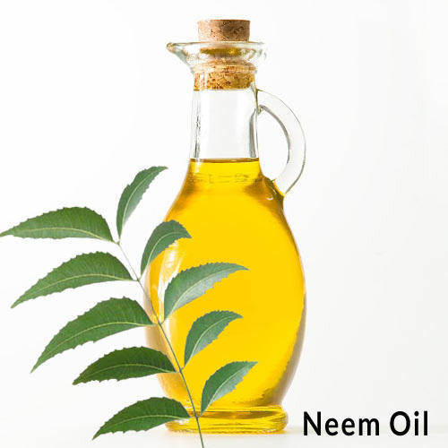 Neem Oil