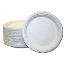 Dinner Paper Plates