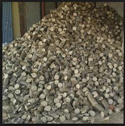Lignocellulosic Biomass Coal