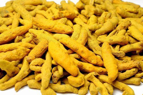 Good Quality Turmeric Fingers