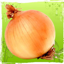 Red Onions