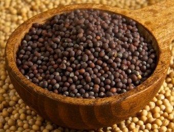 Mustard Seeds - 1-2 Millimeters in Diameter, Yellowish White to Black Color | Essential Spice for Regional Dishes, High Germination Rate