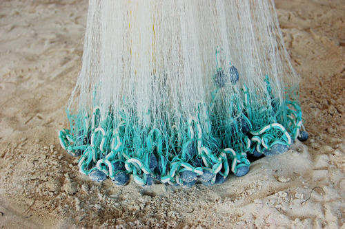 Nylon Fishing Nets In Burhanpur - Prices, Manufacturers & Suppliers