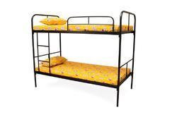 Fancy Bunk Beds