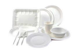 Plain White Disposable Plates Application: Parites