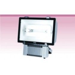 Induction Flood Light