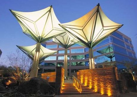 Lamp Tensile Structures