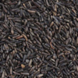 Niger Seeds