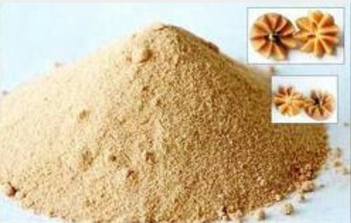 Spray Dried Chikoo Powder