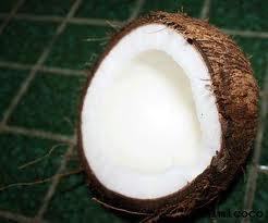 Best Quality Coconut