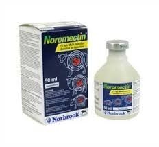 Ivermectin Injection (1% W/v)