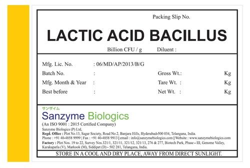 Lactic Acid Bacillus