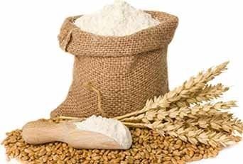 Fresh Wheat - Premium Quality Grain | High Nutritional Value, Ideal for Culinary Use