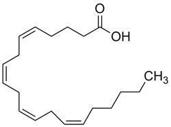 Arachidonic Acid