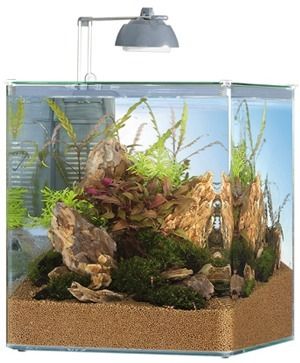 Aquastyle Tank