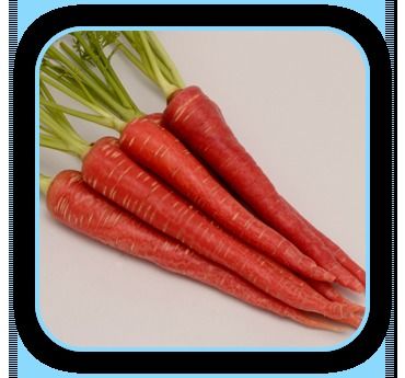  सुपर रेड गाजर