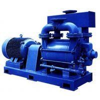 Stainless Steel / Cast Iron Water Ring Vacuum Pump