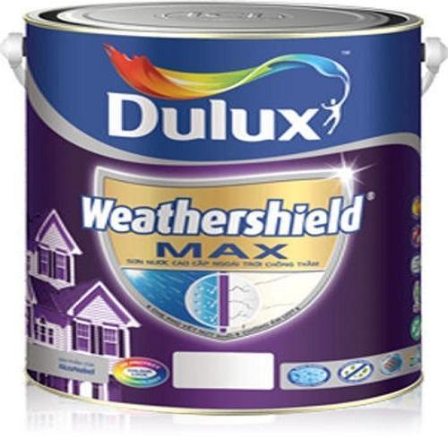 Weather Shield Max Paint