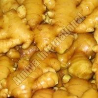 Fresh Ginger - Premium Quality Root, Ideal for Culinary and Medicinal Uses