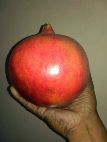 Open Air Fresh Pomegranate Fruit