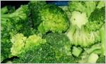 Exotic Broccoli Vegetable