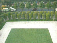 Artificial Grass - Durable Synthetic Turf | Ideal for Mini-Golf Courses, Private Putting Greens, Low Maintenance