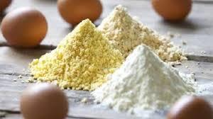 Egg Powder