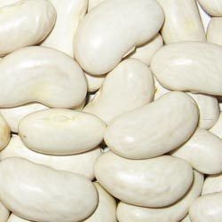 Large White Kidney Beans
