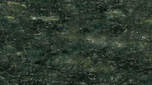 Butterfly Green Granite