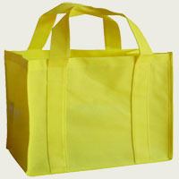 Manual Art Paper Bags At Affordable Costs