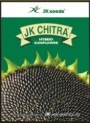 Sun Flower Seed - Premium Quality, Sourced from Hyderabad, Telangana | Affordable Pricing, Nutrient-Rich, Versatile Usage