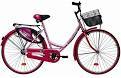 Reliable Ladies Bicycle