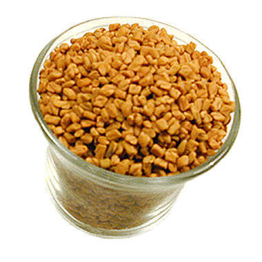 Fenugreek