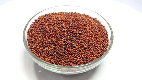 Pure Finger Millet Seeds