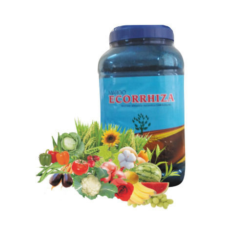 Ecorrhiza Vesicular Arbuscular Mycorrhiza Bio Fertilizer