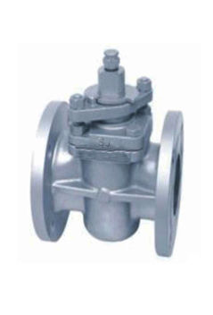 Plug Valve