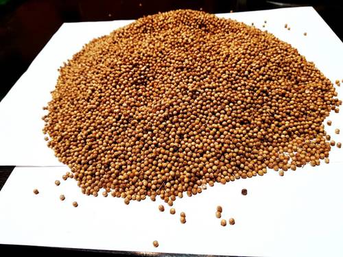 Coriander Seeds Ash %: Not More Than 6%