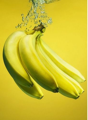 Green Cavendish Fresh Banana