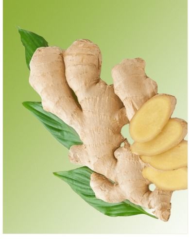 Natural Garden Fresh Ginger