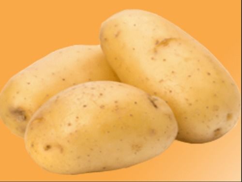 Natural Taste Fresh Potatoes