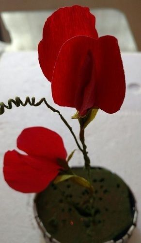Sweet Pea For Decoration Of Home