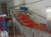 Fruit Processing Plant