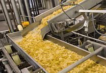 Potato Chips Making Plant