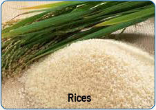 Rices