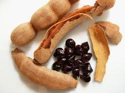 Superior Quality Tamarind Seed