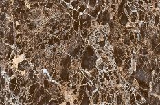 Brilliant Colors Floor Marble Tile