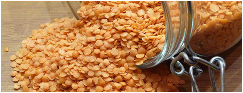 Common Masoor Dal