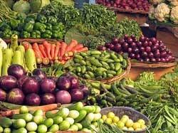 Natural And Harmless Fresh Vegetables