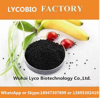 Agriculture Black Urea With Humic Soil Conditioner